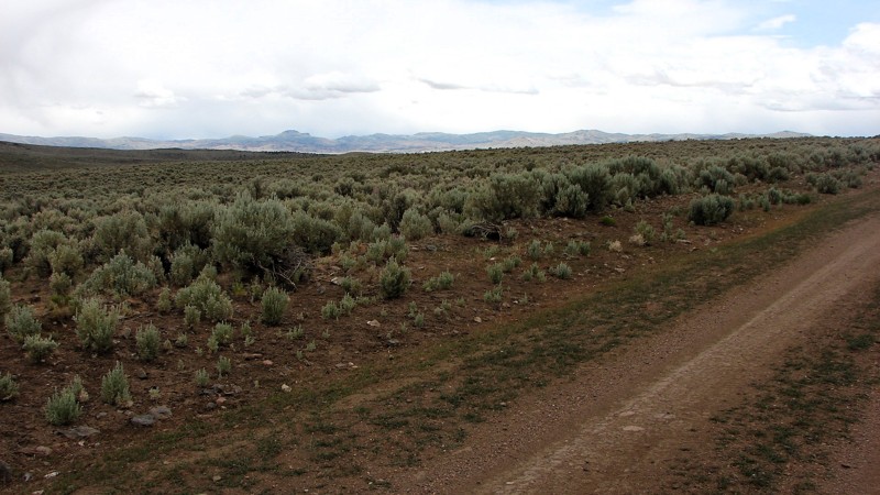 Jackpot Little Goose Road Trail Review Photo