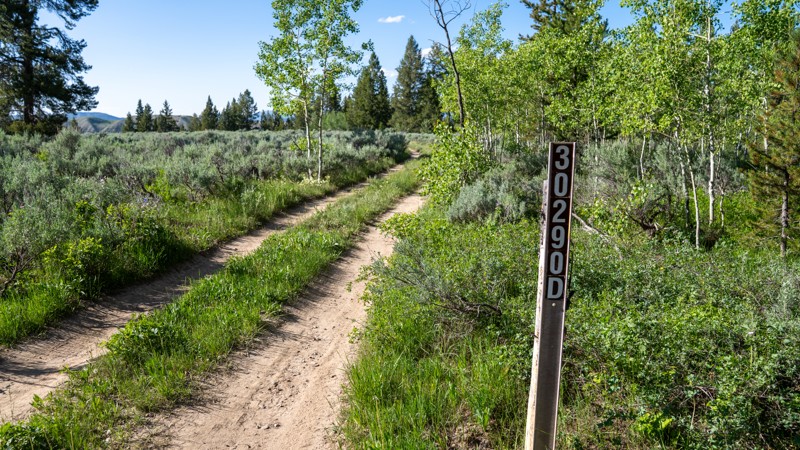 Lower Spread Creek Spur C & D Trail Review Photo