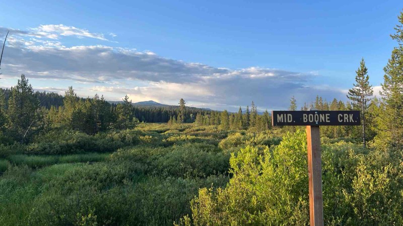 Ashton-Flagg Ranch Road / Grassy Lake Road Trail Review Photo