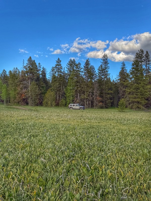 Ashton-Flagg Ranch Road / Grassy Lake Road Trail Review Photo