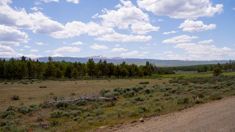 Hickerson Park Birch Creek Road Trail Review Photo