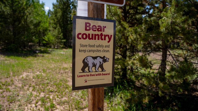 North Slope - Thornburg / Beaver Meadows Trail Review Photo