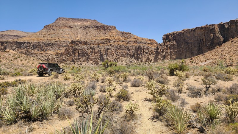 California: Wild Horse Canyon Road Hero Photo