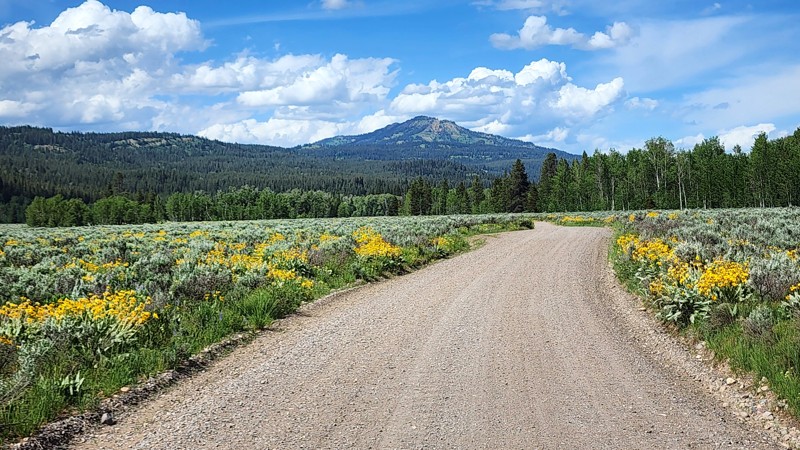 Wyoming: Wilderness Road / Pacific Creek Hero Photo