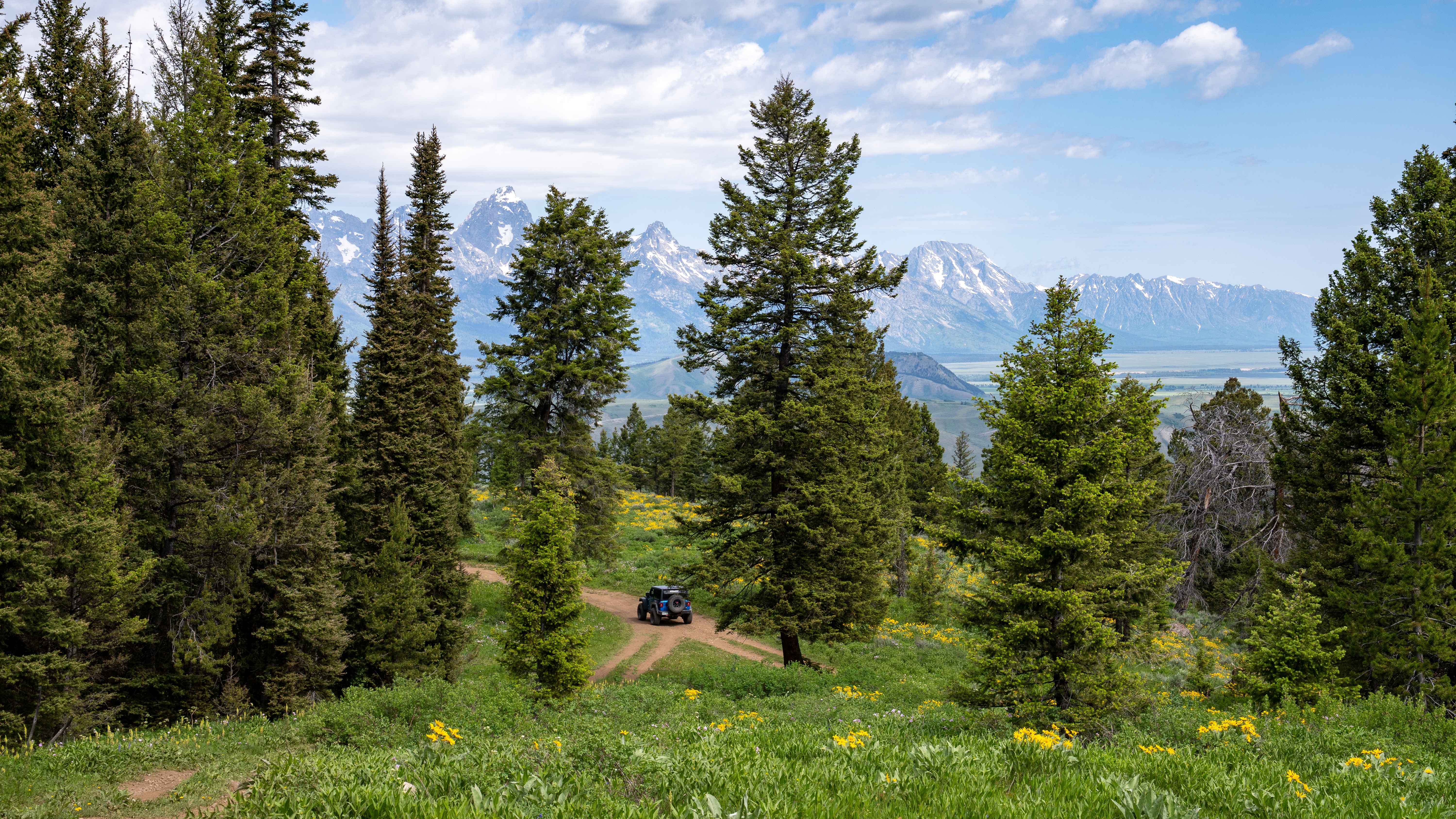 Sheep Creek Spur - Best Trails