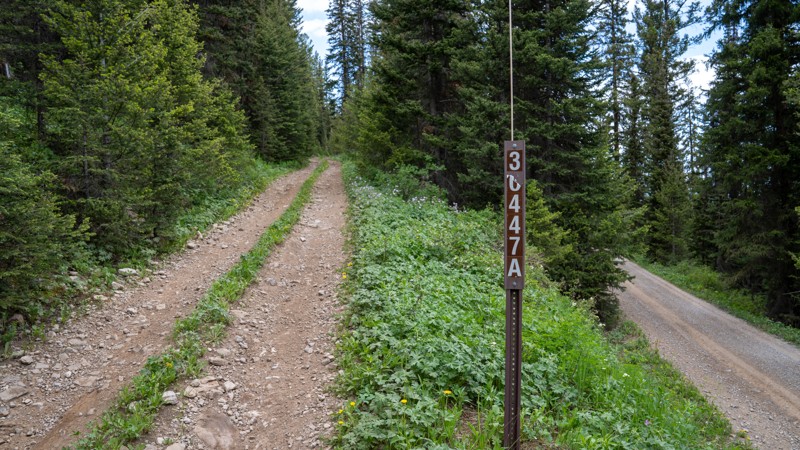 Sheep Creek Spur Trail Review Photo