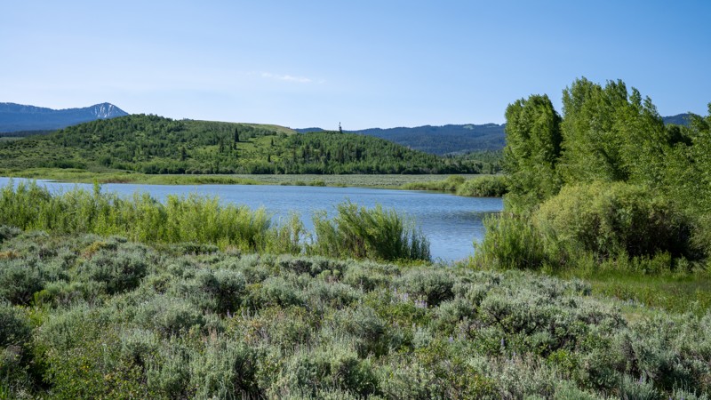 Uhl Hill Road Trail Review Photo