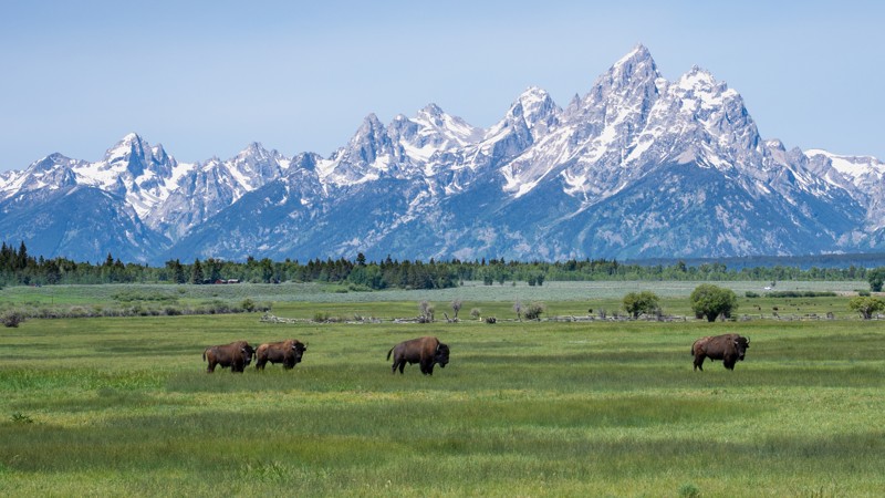 Wyoming: Wolf Ranch Road Hero Photo