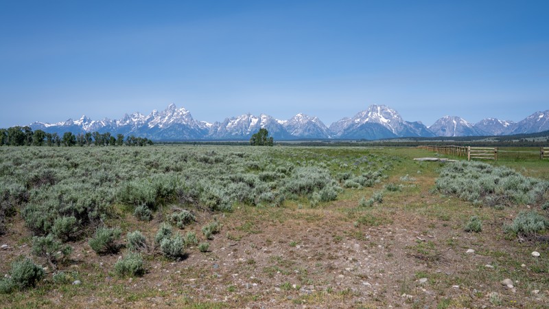 Wolf Ranch Road Trail Review Photo