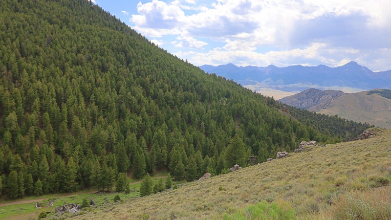 South Fork Worthing Trail Review Photo