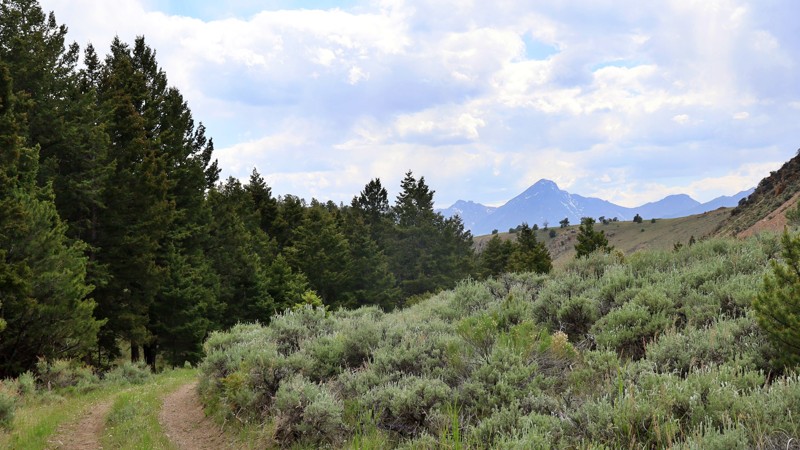 Pierce Canyon Trail Review Photo