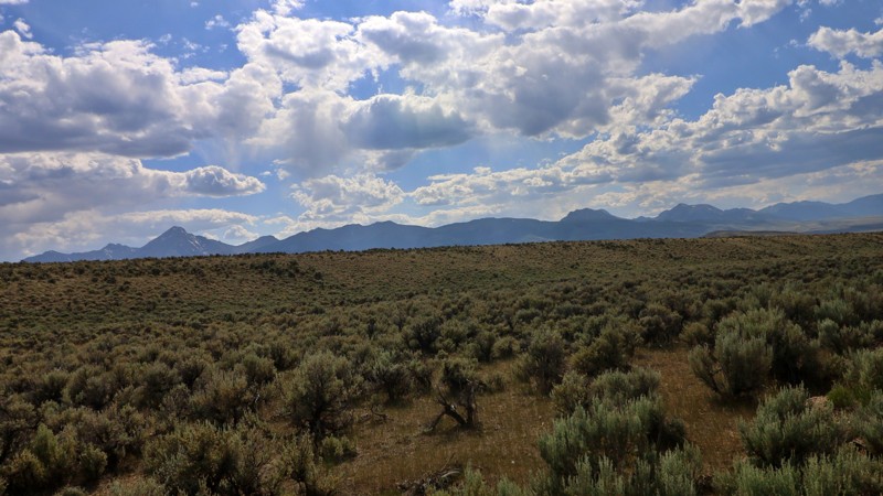 O'Brien Gulch Trail Review Photo
