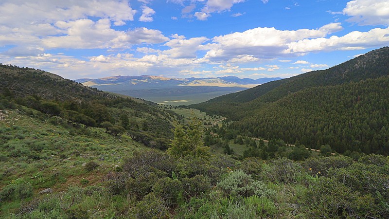 Quartzite Canyon Trail Review Photo