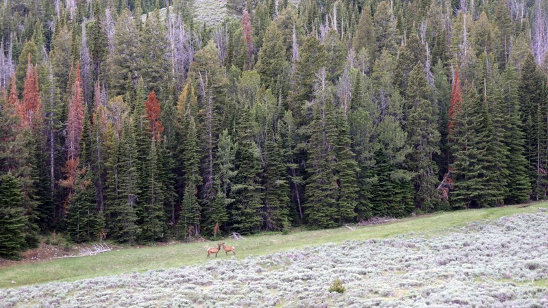 Quartzite Canyon Trail Review Photo