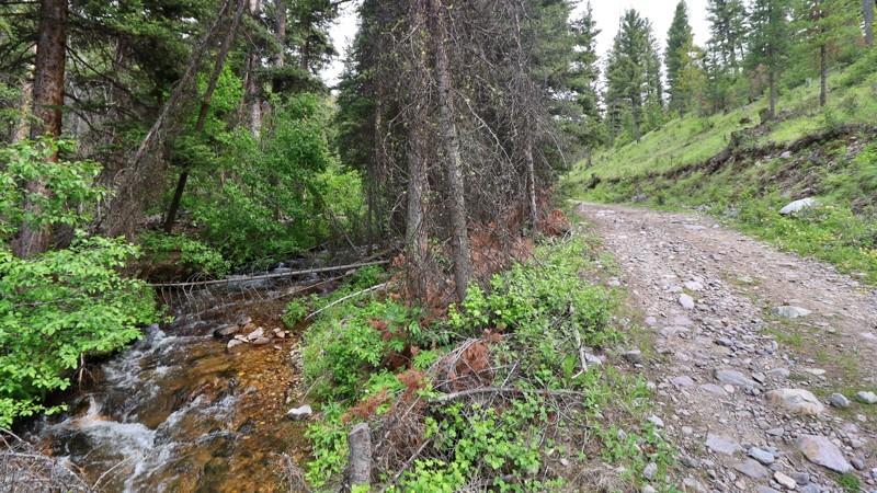 Mill Creek Trail Review Photo