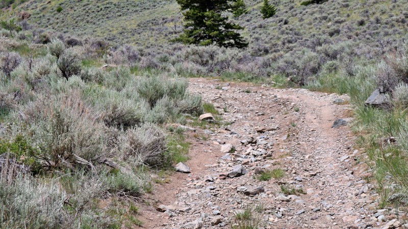 Basin Creek Trail Review Photo