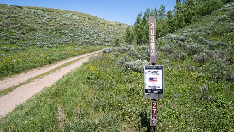 Puwerae Road Trail Review Photo