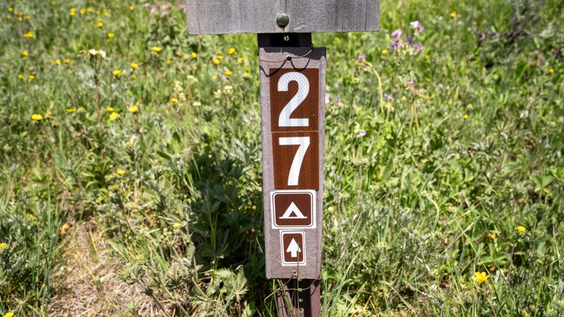 Puwerae Road Trail Review Photo