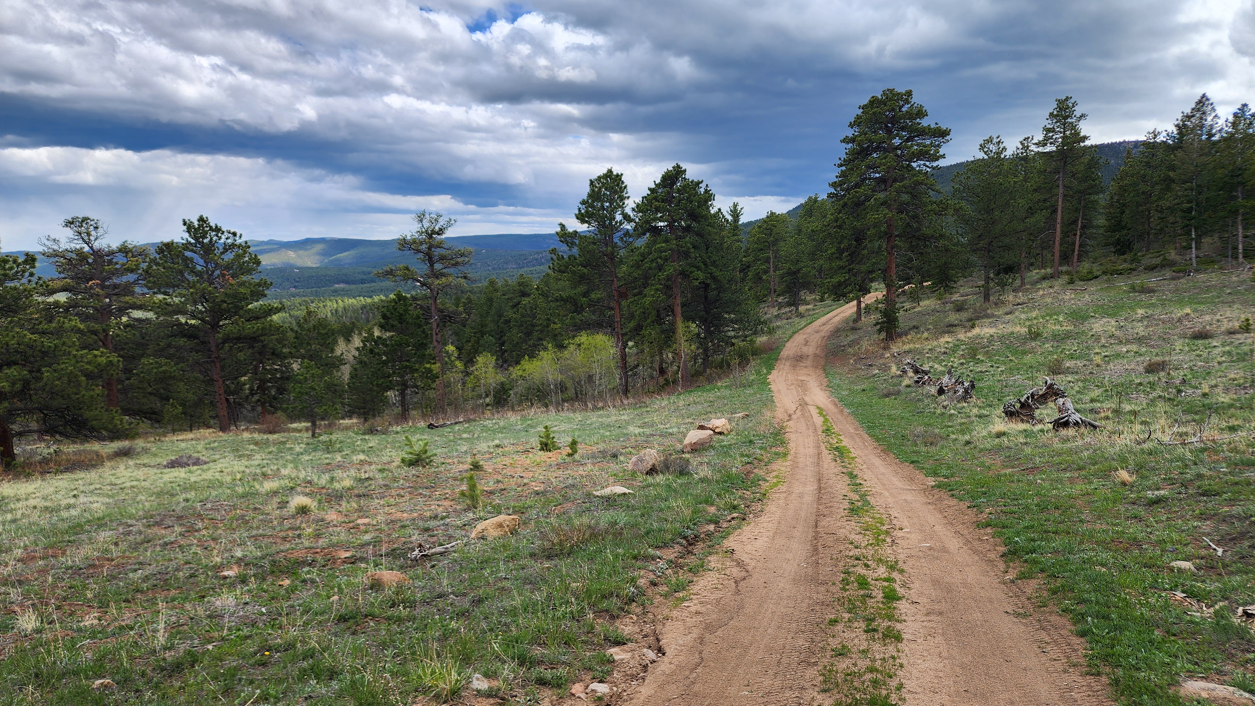 Taylor Mountain - Beginner Trails