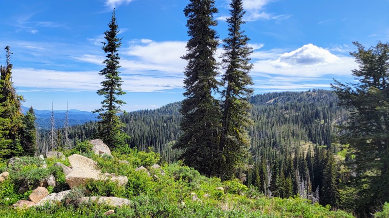 Summit Flat Trail Review Photo