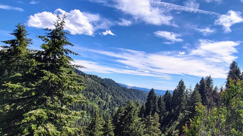 Idaho: Alder Creek Road Hero Photo