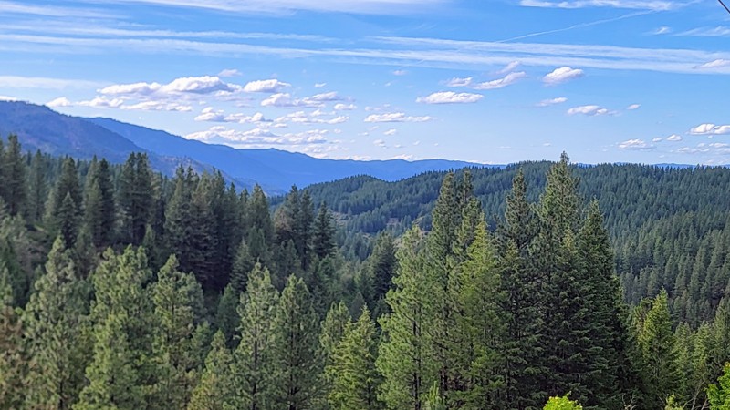 Alder Creek Road Trail Review Photo
