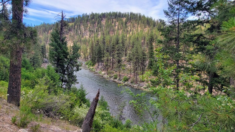 Alder Creek Road Trail Review Photo