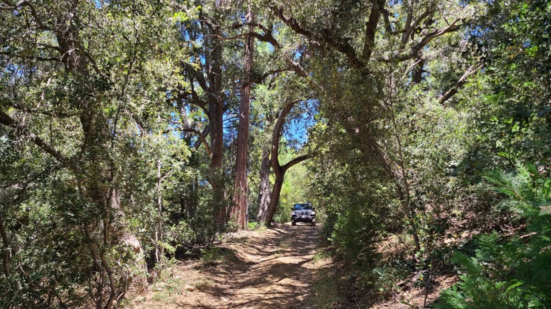 California: Stetson Hollow Hero Photo