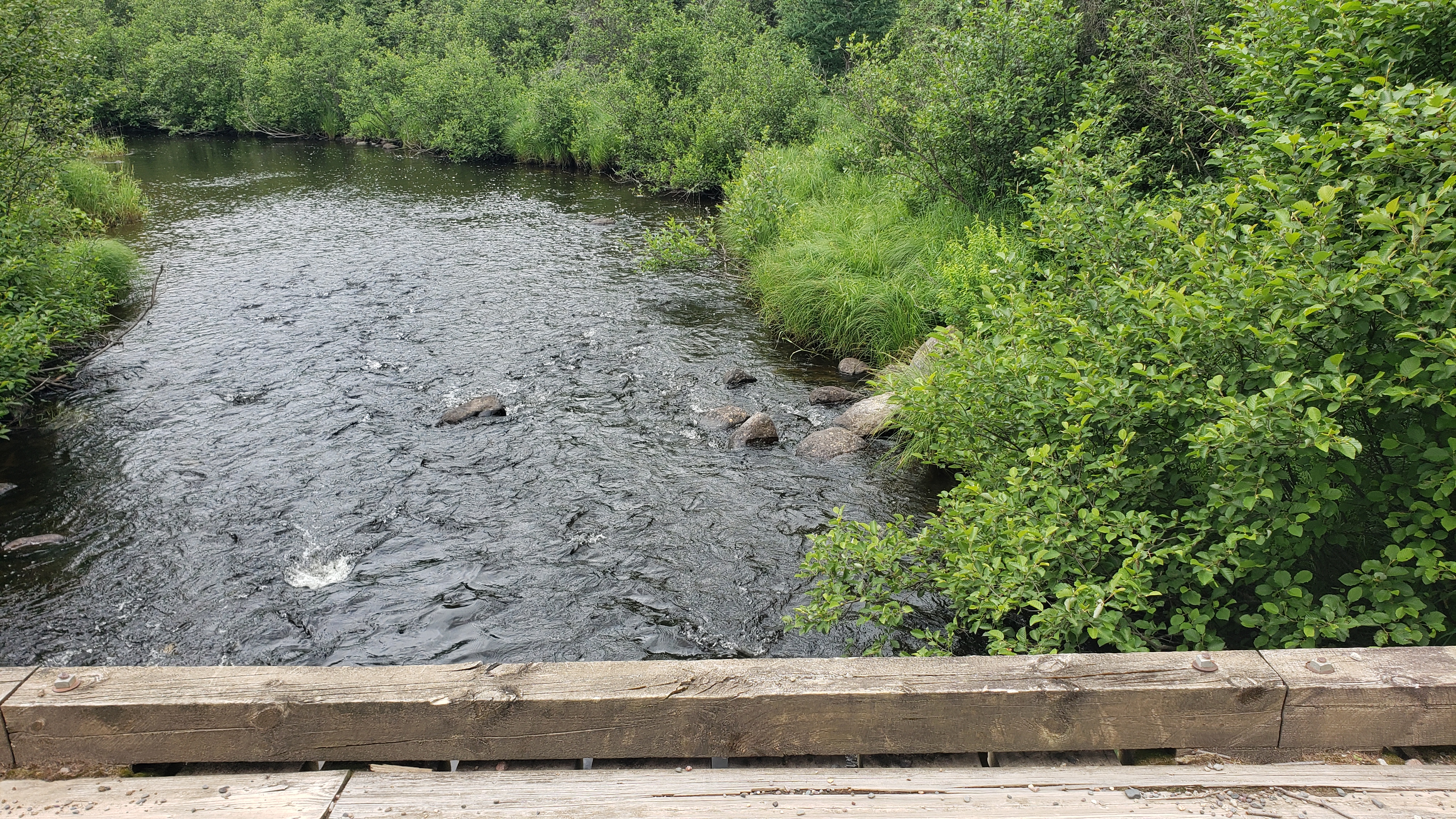 Ishpeming Beginner Offroad Trails