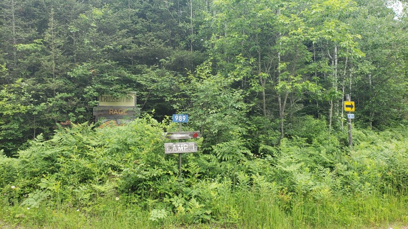 Camp One Road Trail Review Photo