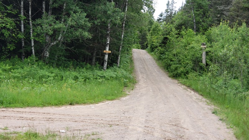 Camp One Road Trail Review Photo