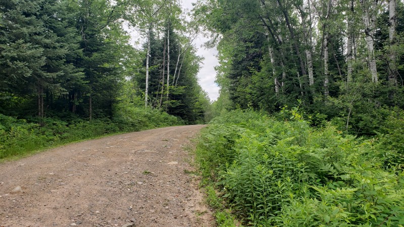 Camp 2 Road Trail Review Photo