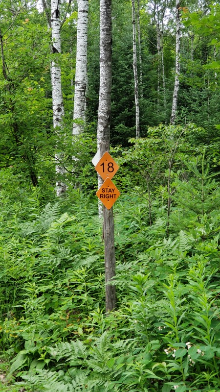 Camp 2 Road Trail Review Photo