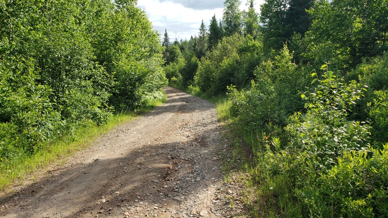 New DNR Road Trail Review Photo