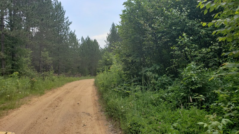 ORV Route C  - Champion to Michigamme Trail Review Photo