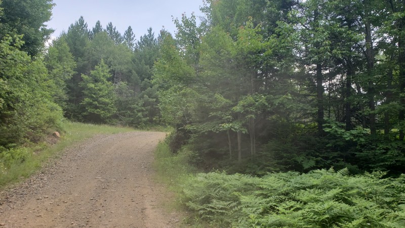 ORV Route C  - Champion to Michigamme Trail Review Photo