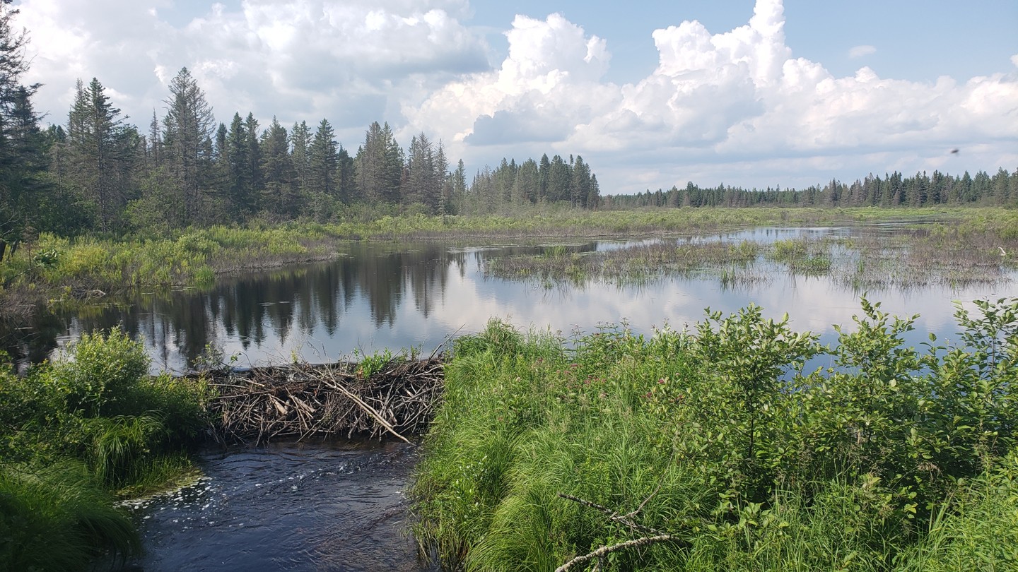 Hero: North Fence River Road