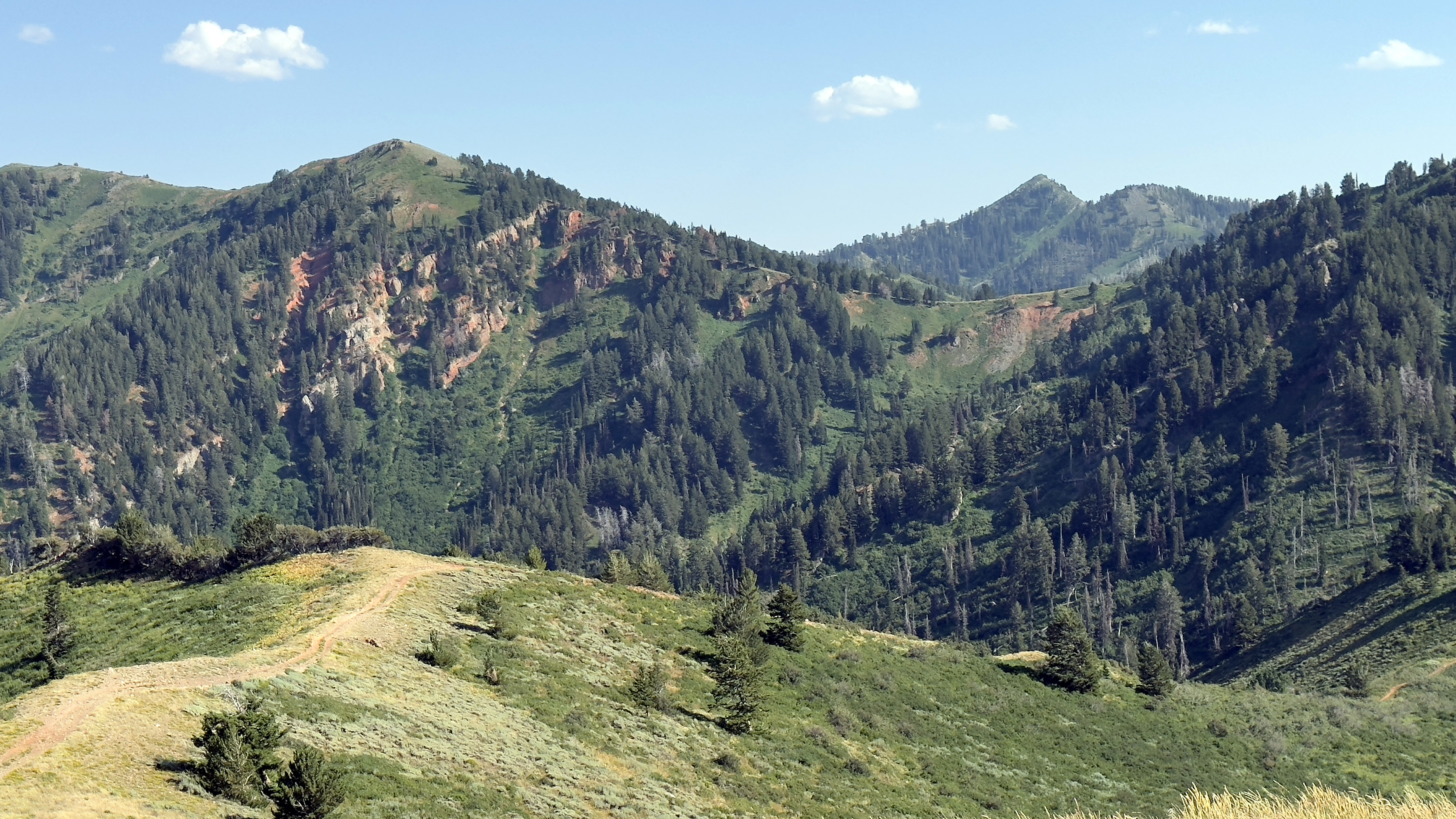 Sessions Mountain Road - Best Trails