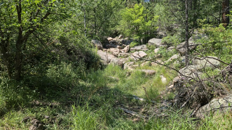 Captain Crunch Trail Review Photo