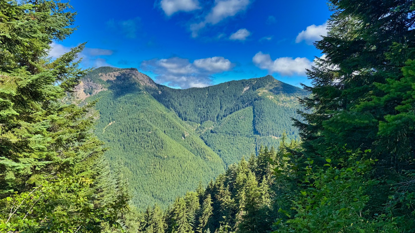 Hero: Naches Trail Access Road