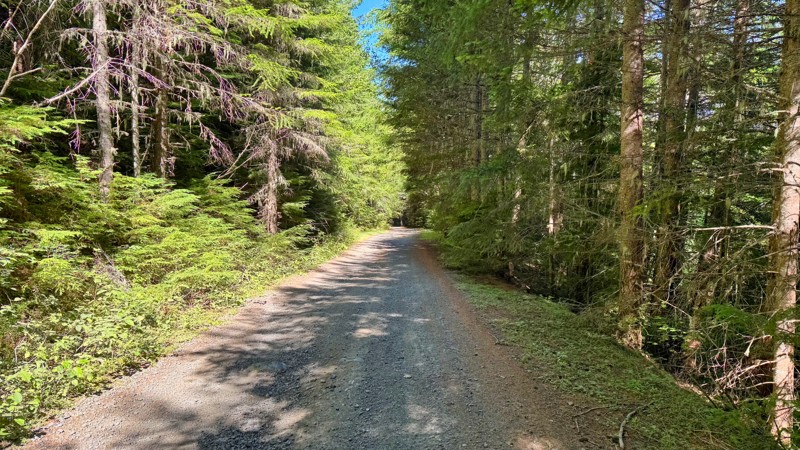 Naches Trail Access Road Trail Review Photo