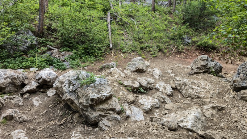 Kong Trail Review Photo