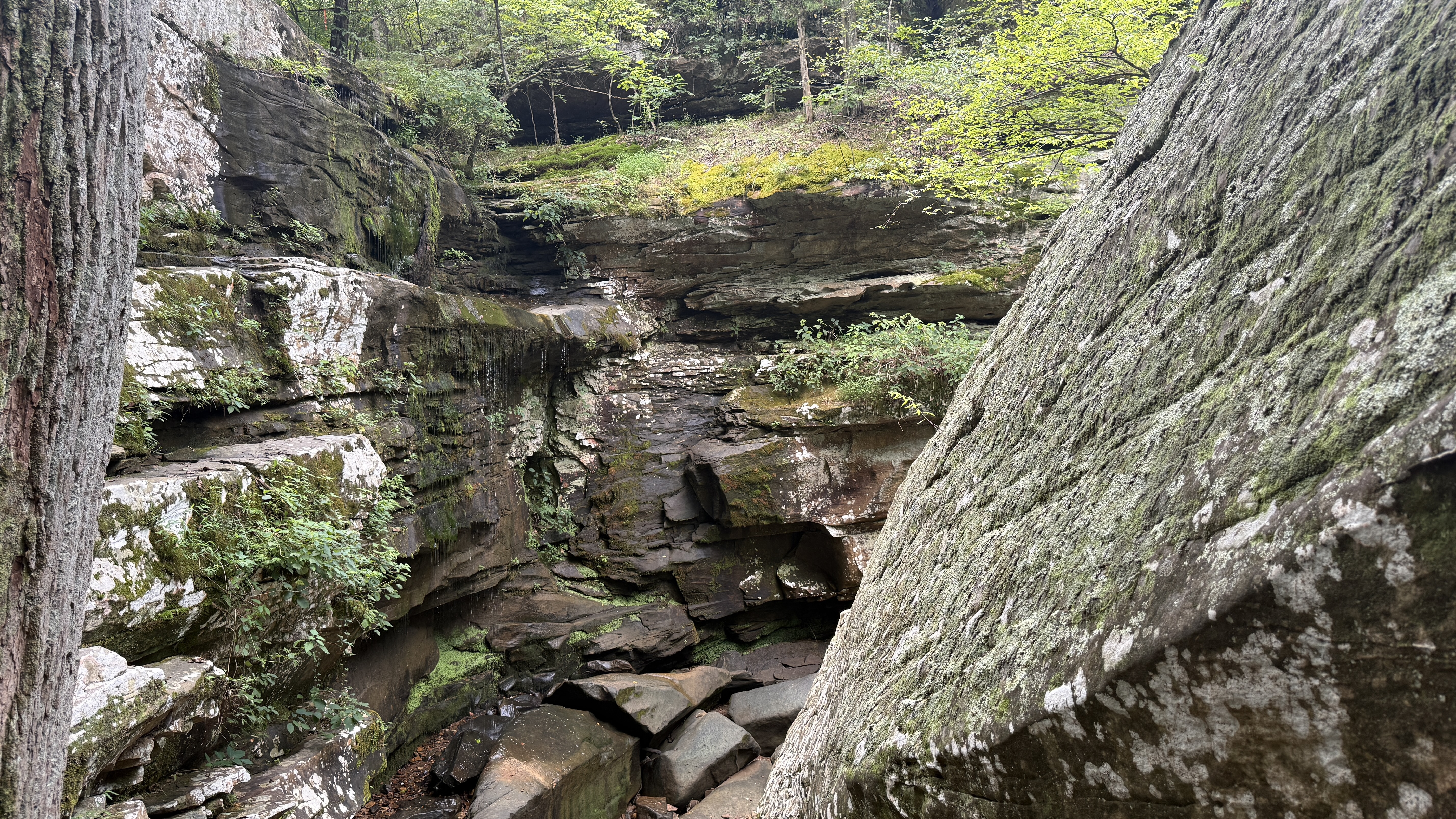 Burden Falls Road - Best Trails