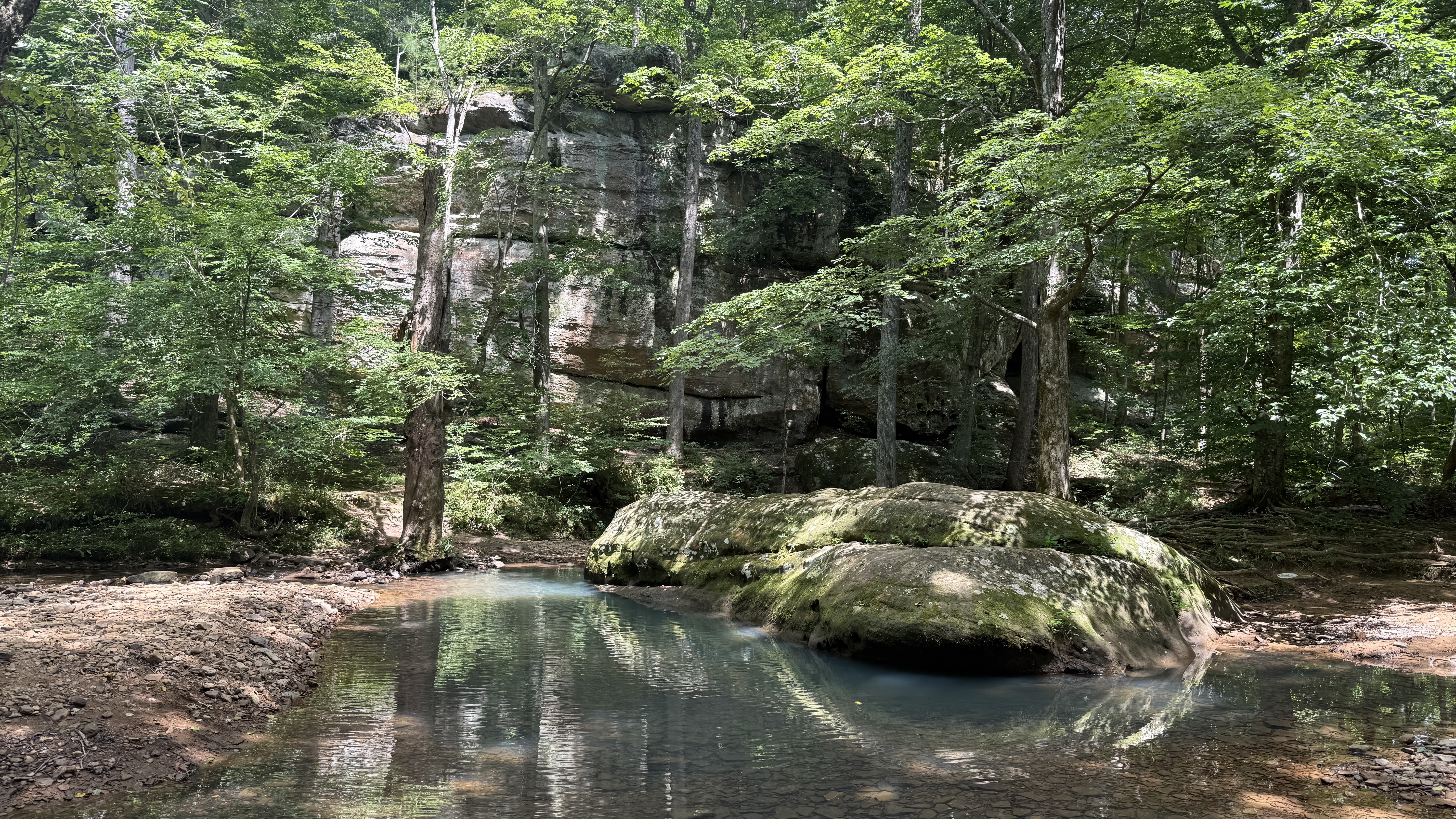 Bell Smith Springs Road - Best Trails