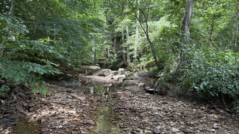Bell Smith Springs Road Trail Review Photo