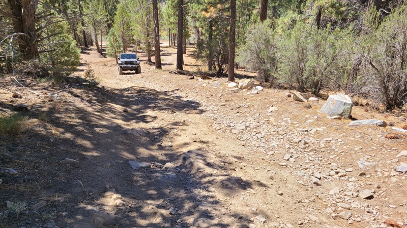 California: Little Holcomb Hero Photo