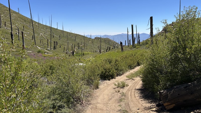 Sherman Pass 4x4 Trail Trail Review Photo