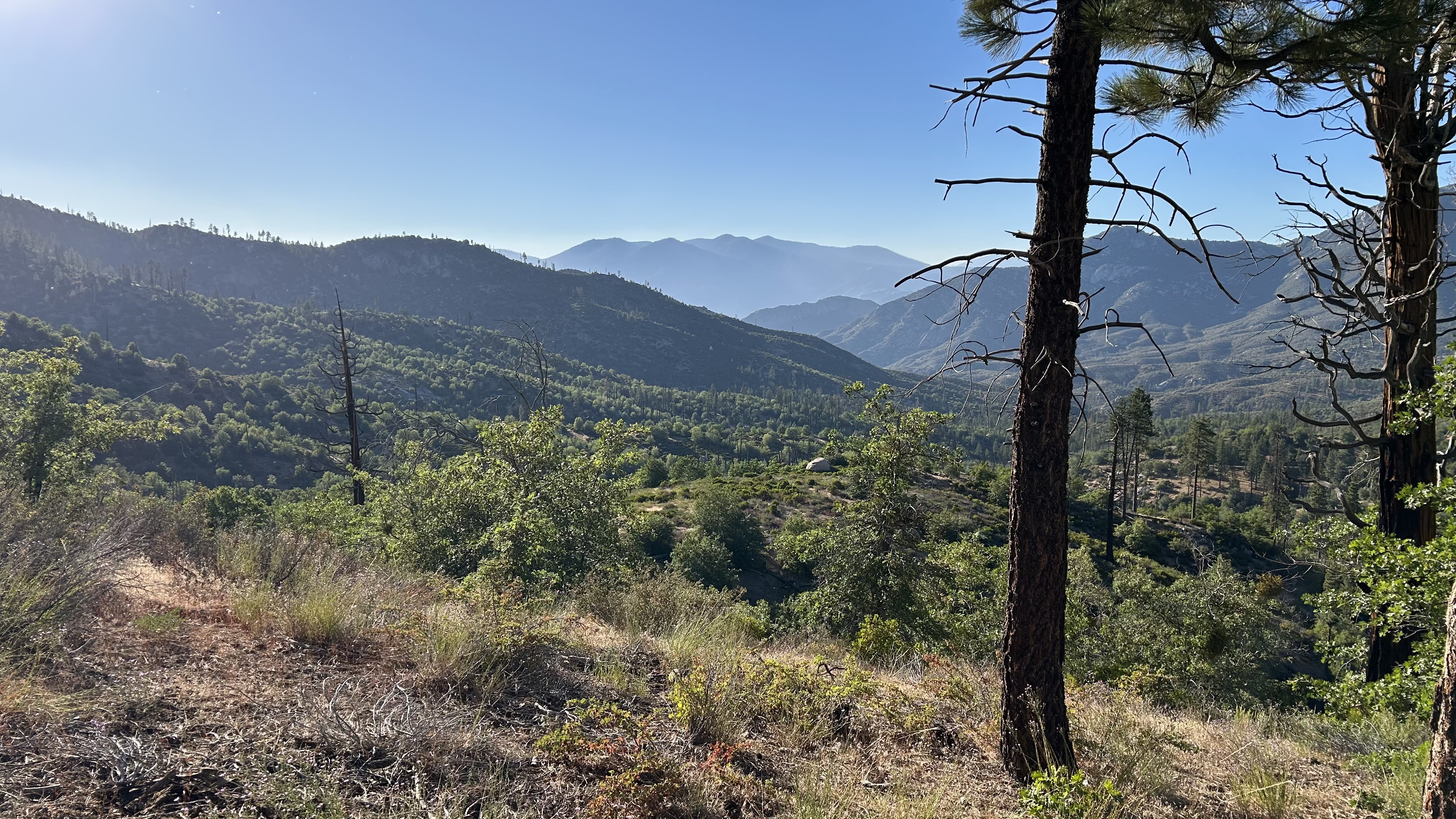 Cherry Hill Spur A - Best Trails