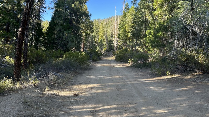 Cherry Hill Spur A Trail Review Photo