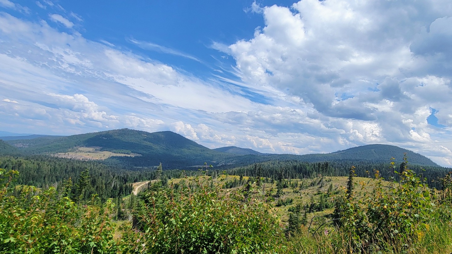 Hero: Fishhook Creek Road
